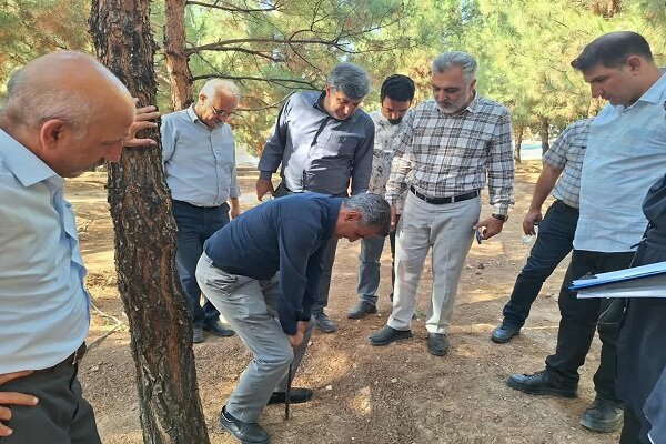 ارزیابی فضای سبز منطقه ۱۰ تبریز در پنجمین روز بازدیدهای میدانی