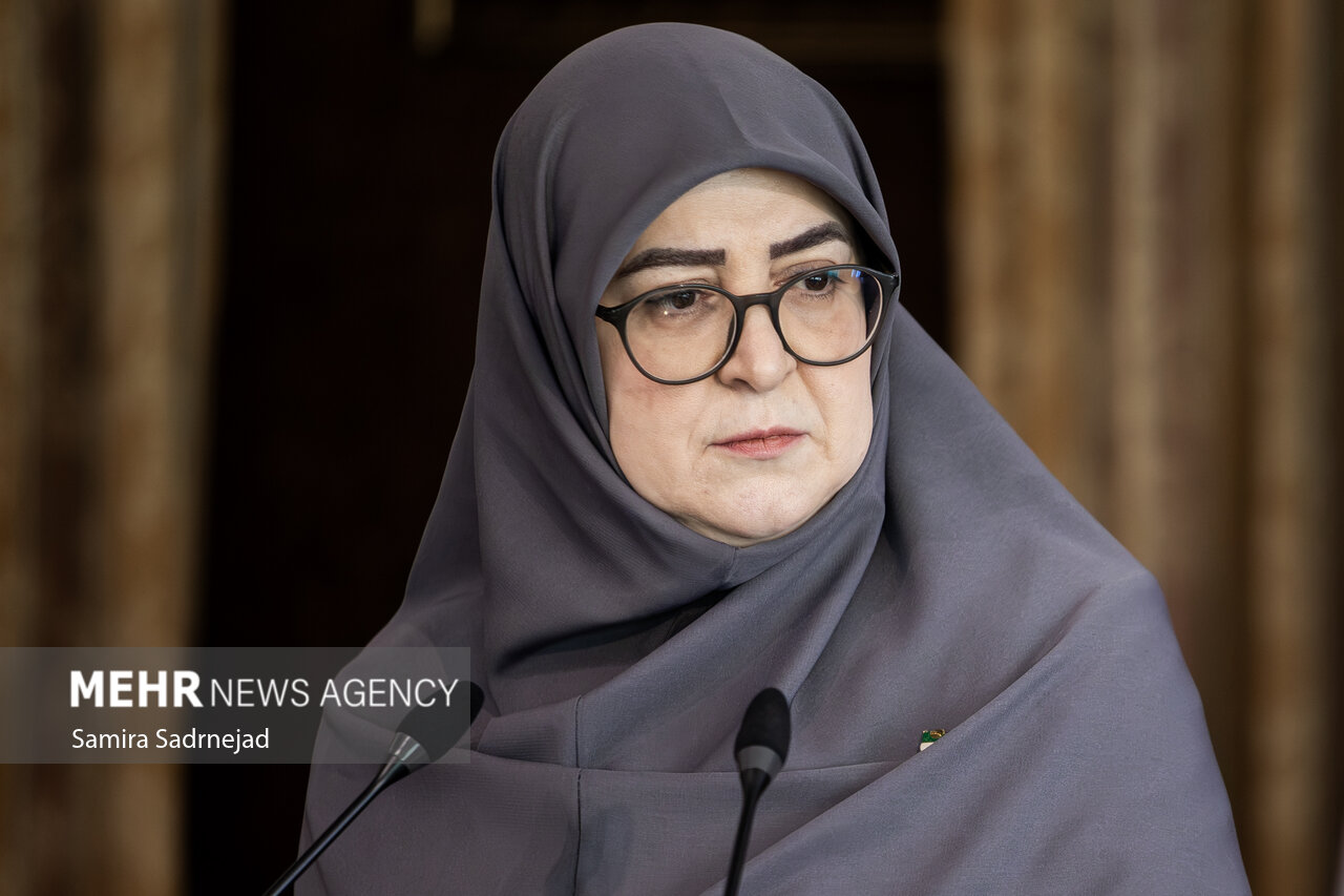 مهاجرانی: آنچه انجام شده تمام توان دولت است