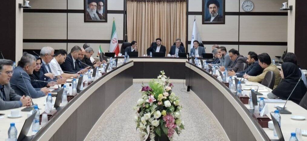 ظرفیتهای بکر استان خراسان رضوی برای جذب سرمایهگذاران برق پاک فعال شد