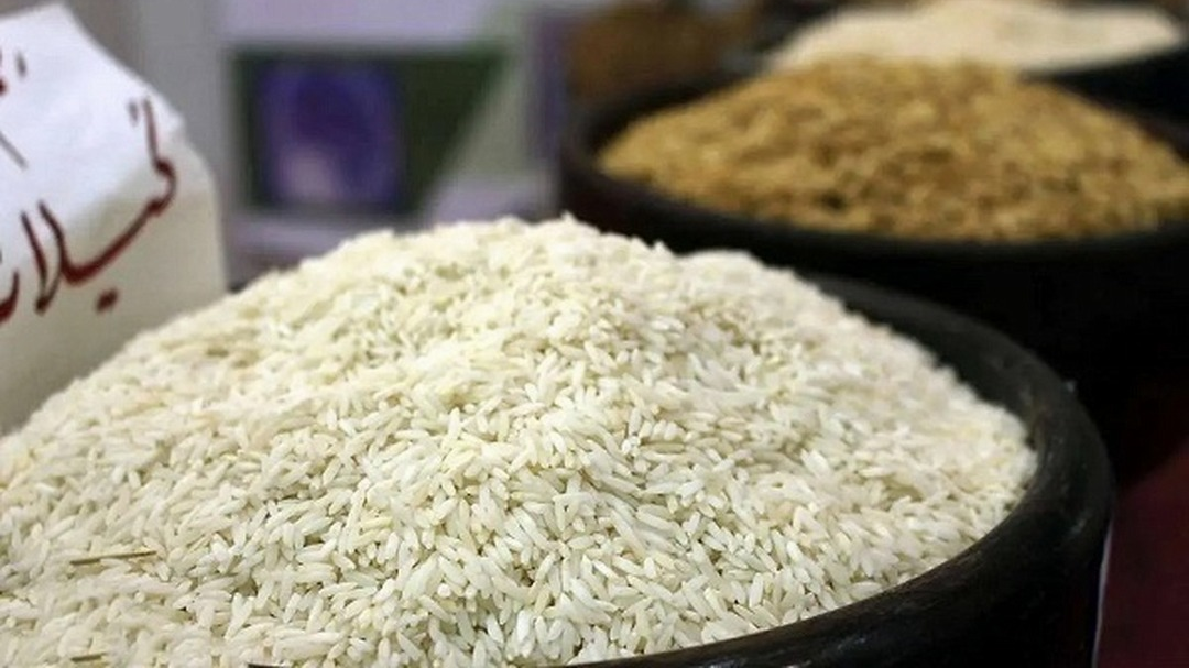 نظارت بر واسطه‌ها؛ حلقه مفقوده بازار شالی و برنج کشور/سود افزایش قیمت برنج به جیب دلال‌ها می‌رود