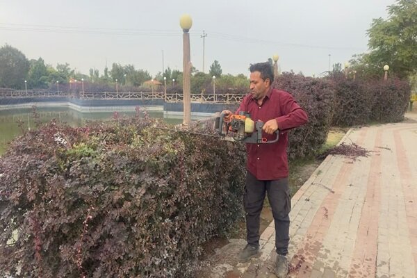 هرس و فرم‌دهی مستمر فضای سبز غرب و شمال‌غرب تبریز
