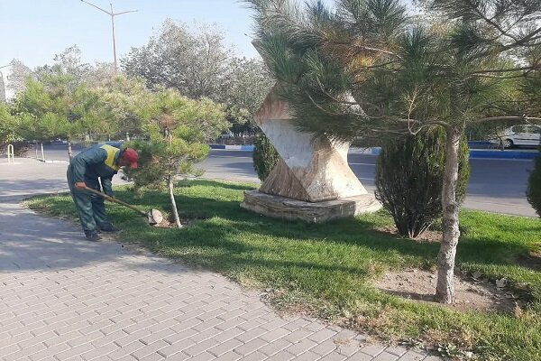 حفظ فضاهای سبز شهری با کند و کوب پای درختان