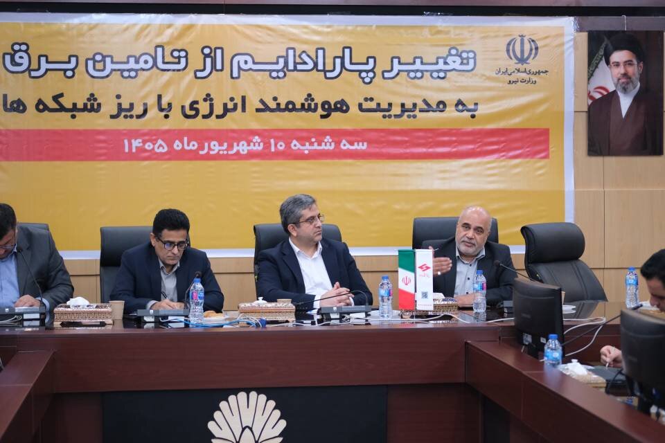 ریزشبکه‌ها؛ از الزامات فنی تا شکل‌گیری بازار محلی برق