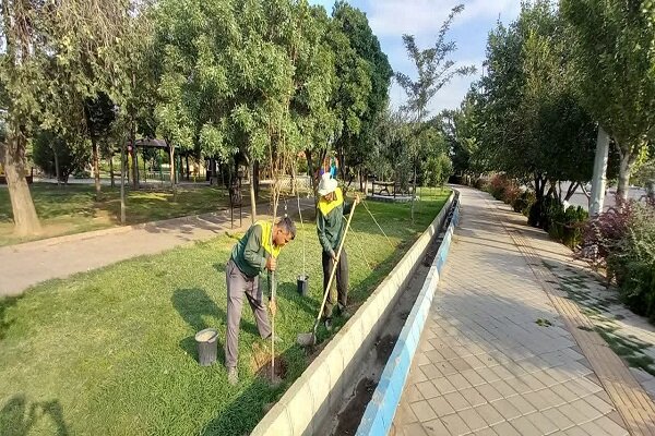 توسعه فضای سبز منطقه ۴ تبریز با کاشت ۳۳۵ هزار اصله نهال، درختچه و نشاء