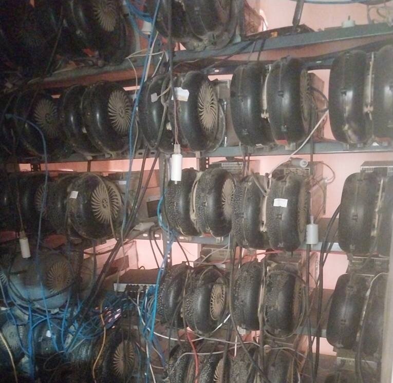 قاچاق برق در یک مرکز پرورش شترمرغ با ۴۳ ماینر غیرمجاز