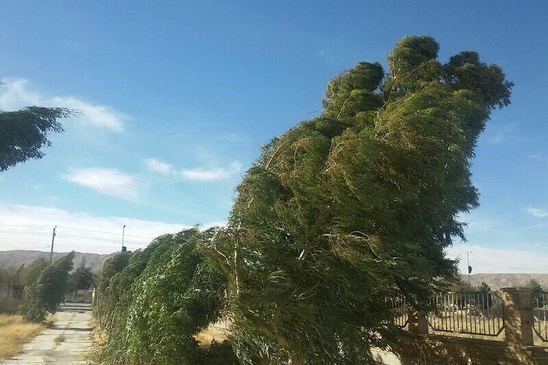تداوم بارشها و وزش باد شدید در نوار شمالی کشور
