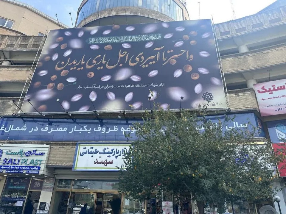 "عمریست دخیلم به ضریحی که نداری"