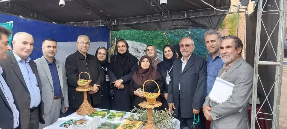 تاکید بر افزایش سهم ایران از بازار جهانی غذای حلال / حمایت مجلس از مطالبات آشپزان و سرآشپزان